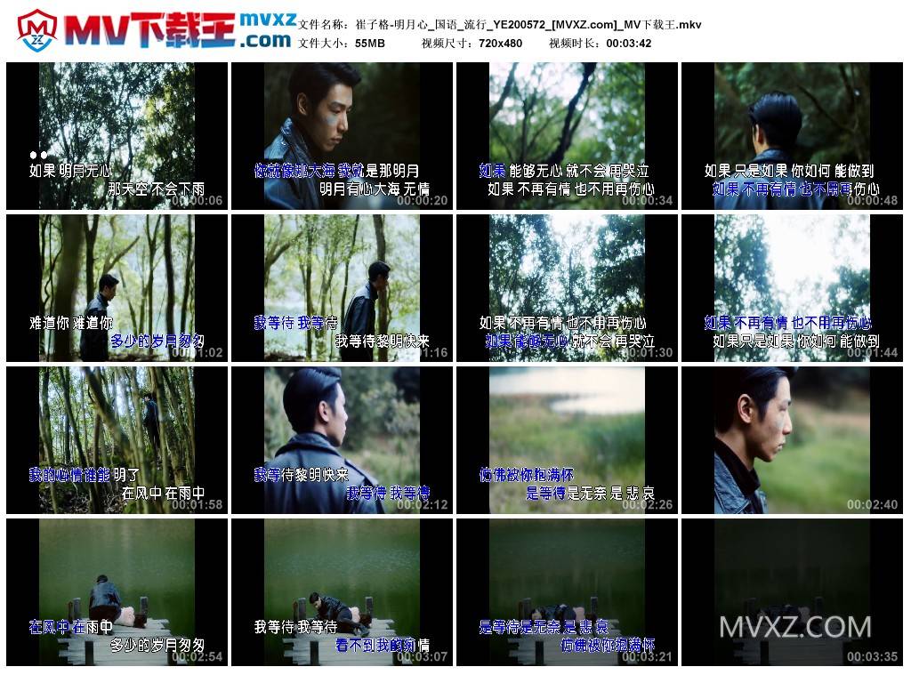 崔子格-明月心_国语_流行_YE200572